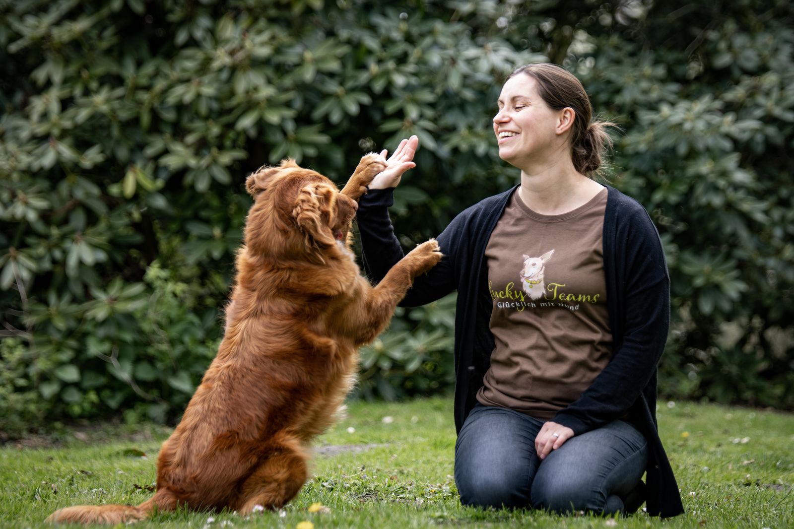 Hundebegegnungen & Orientierung