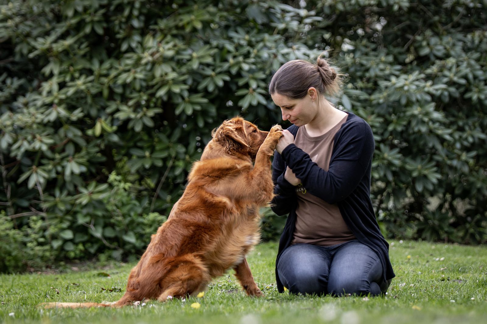 Zwischen Grenzen und Motivation